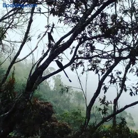 Refugio en las Nubes - Image 3