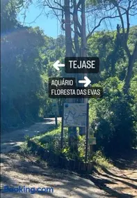 Floresta das Evas - Image 3