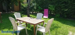 Au soleil du Der - Image 1