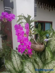 Bo Pla Homestay Trang - Image 5