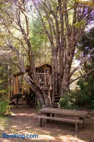 Pucón Volcano Forest SPA - Image 1
