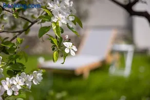 Home Wachau - Image 4