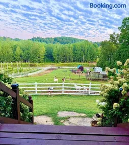 Sleepy Valley Cabin with Hot Tub & Scenic Views - Image 2