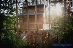 ForRest House Domki na drzewie niedaleko Suntago - Image 2