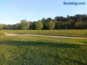 Le vallon des palombes - Image 3