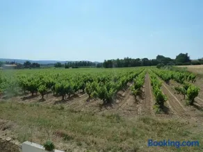 La Vigne - Image 1