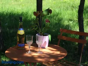 Gîte Nature au Chambon-sur-Lignon: Terrasse, Wifi, Proche Activités et Commerces - Image 1