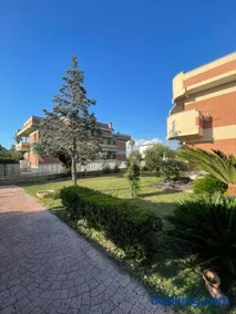 The Mazzitellis Home - Image 3