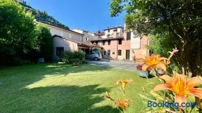 Regina dei fiori - Image 3