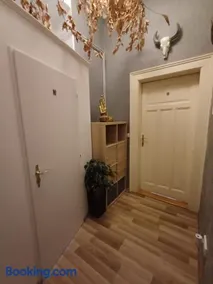 Wellness Stodolni Ostrava - Image 3