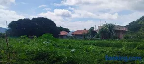 Aalamaram Farm - Image 5