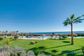 Cala - Image 2