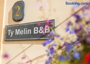 Ty Melin - Image 3