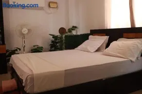 Turtle Island Ayurveda Backwater Stay - Image 4