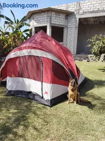 Nada y acampa con tus perritos - Image 2