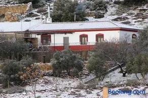 El Almendro de Fuentes Nuevas - Image 1