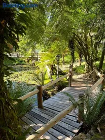 Natur Hotel - 700m da Rua Coberta - Image 4