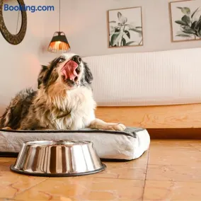 Petit Mesón (Pet Friendly Hotel) - Image 3