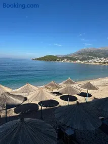Potami Seashell - Image 2