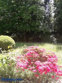 Apartment near Villa Turgenev - Image 3