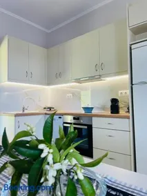 Olive Land Spacious Apartment - Image 5