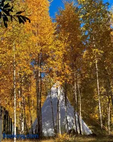 Bonair Tipi Village I Glamping - Image 3