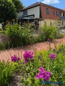Ferienwohnungen - barrierefrei - im sanierten Gutshof - Image 4
