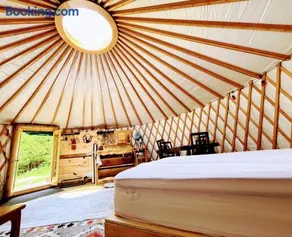 Sky Nest Glamp-Unplug-Reconnect - Image 5