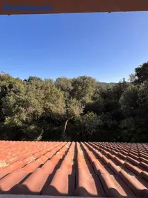 Le Mimose - Image 3