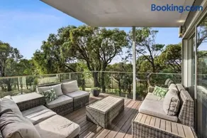 Coastal Tree Top Views - Image 2