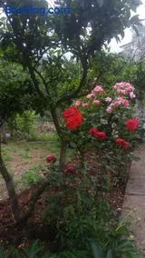 Hana Accommodation - Image 2