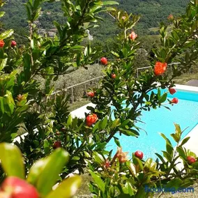 Villa Francesca - Image 1
