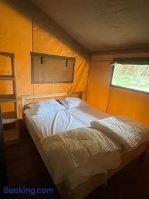 Glampingtent Serengeti - Image 3