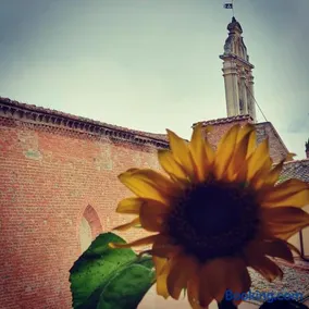 APPARTAMENTS SAN FRANCESCO - Image 4