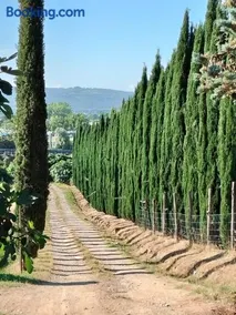 Camugnano farm - Image 1