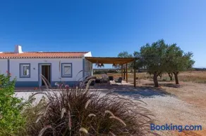 Vinhas Douradas - Image 1