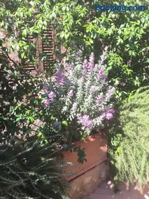 Le Antiche Mura - Image 2