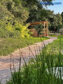 Schönhof im Weinviertel - Image 1