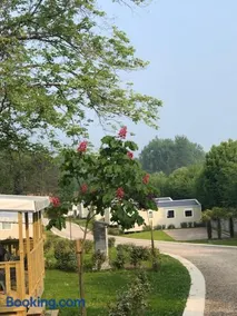 Domaine du Blanc Pignon - Image 4
