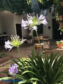 La Casa de Félix - Image 3