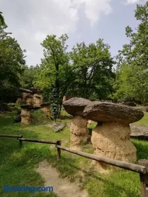 Il Boschetto della Valle Maira - Image 4