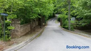 Bearadise - Image 4