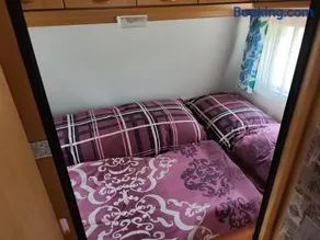 František - Camp pod kaštany - Image 3