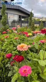 Luxury villa near Erciyes - Image 1