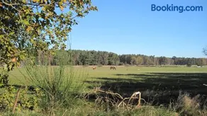 Ferienwohnungen Reetwinkel in Wieck - Image 2