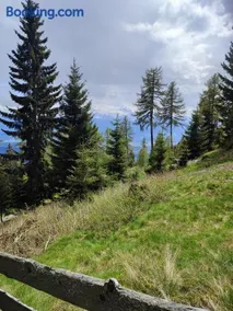 Schalale - Image 5