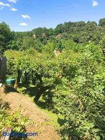 La MOULINE - Image 5