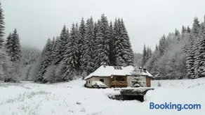 Cabana Pietricica - Image 4