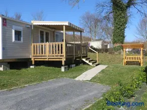 luminosa - Image 4