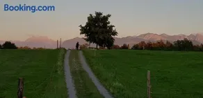 like home - Image 1